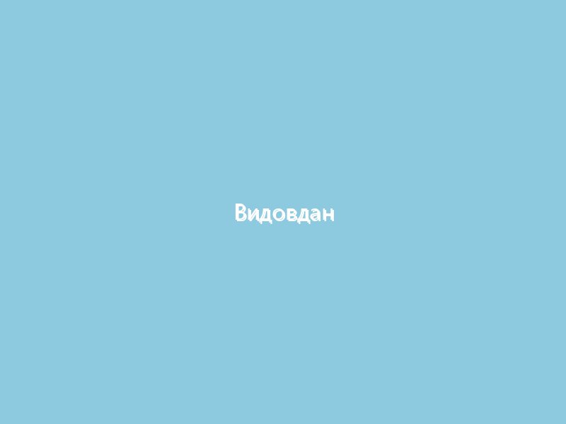 Видовдан